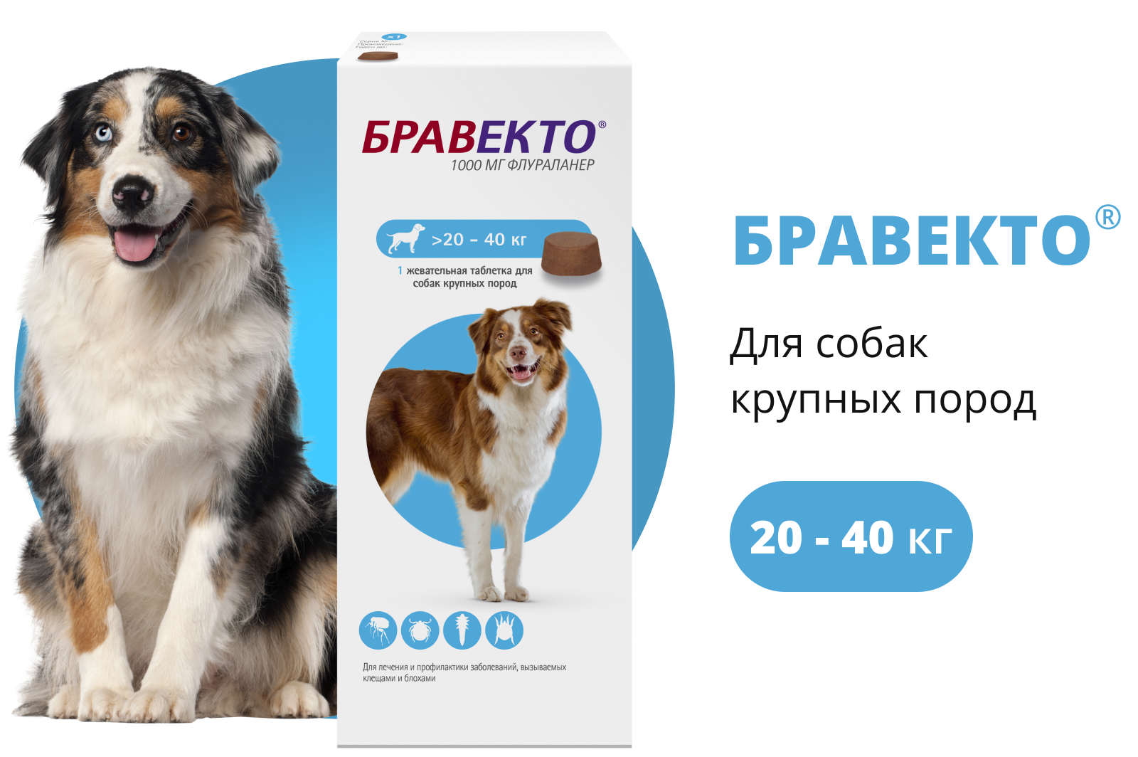 Таблетка бравекто для собак. MSD animal Health Бравекто для собак 20-40 кг, таблетки 1000 мг. Бравекто 40кг. Бравекто для собак 20-40 кг таблетки. Таблетки от клещей для собак Бравекто 20-40 кг.